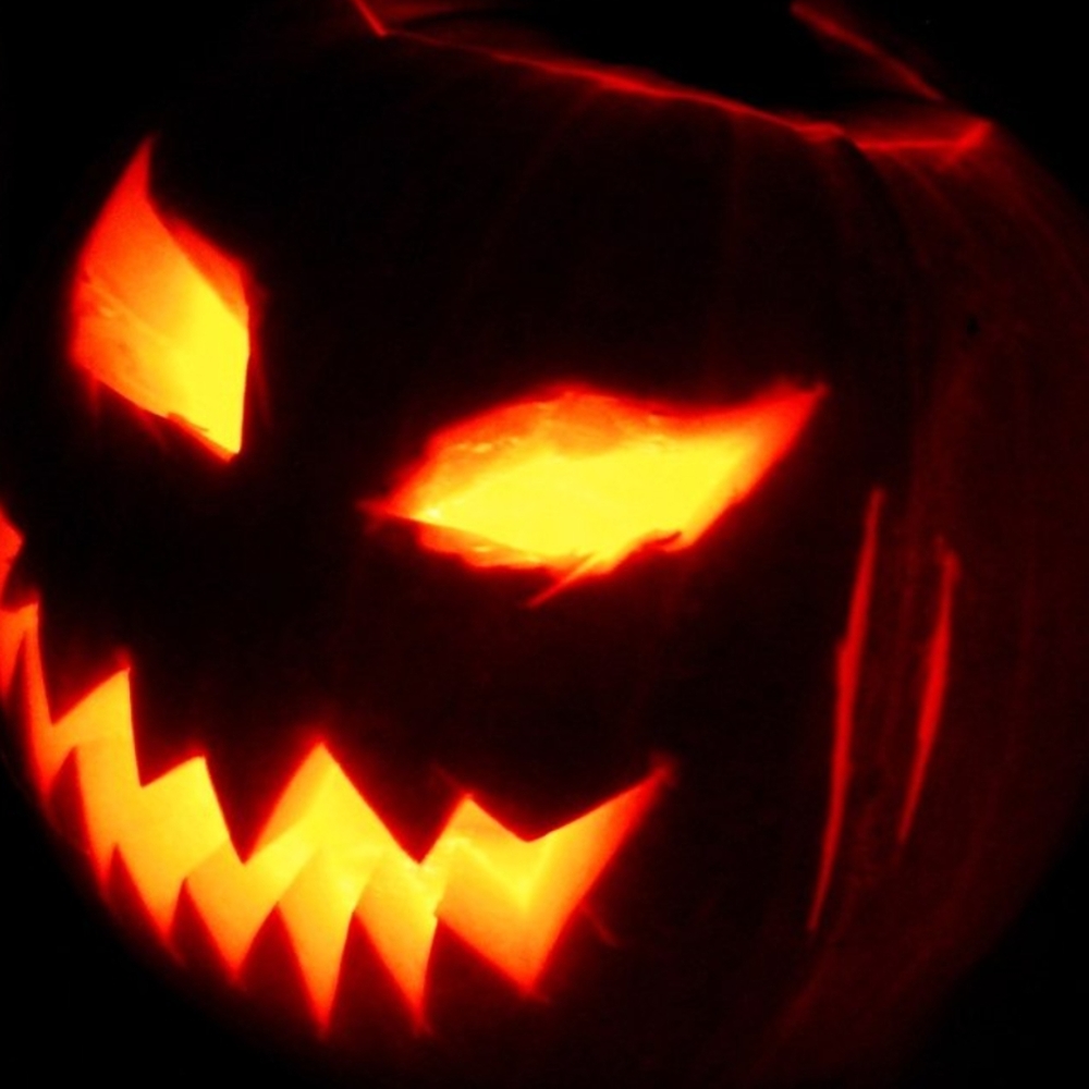 FAST SHIPPING FOR HALLOWEEN!